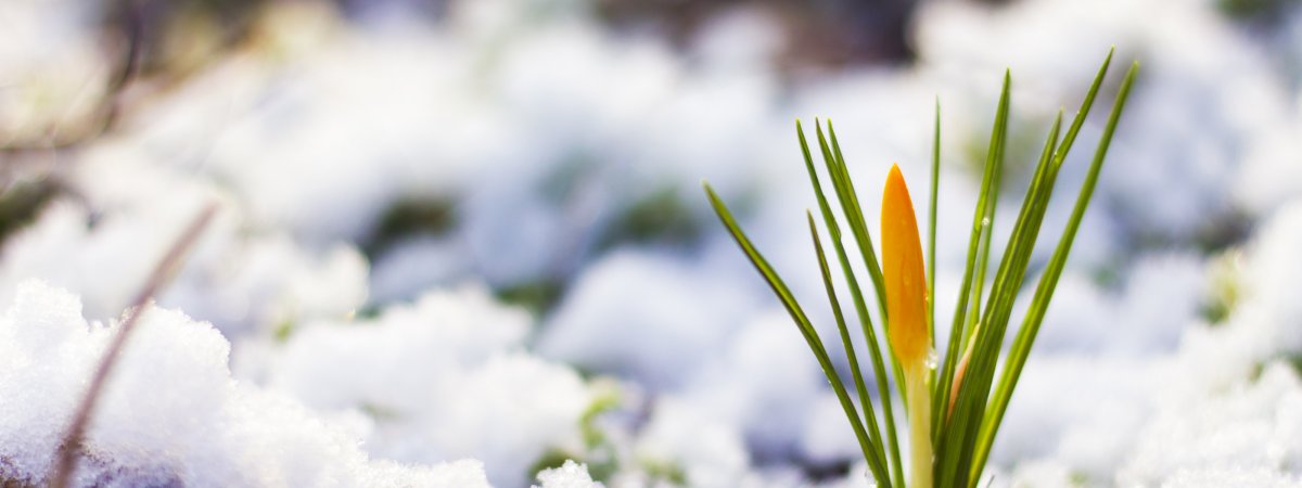 Весна деревня апрель проталины