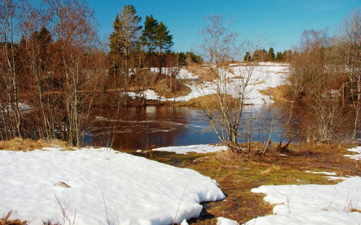 Тает снег бегут ручьи