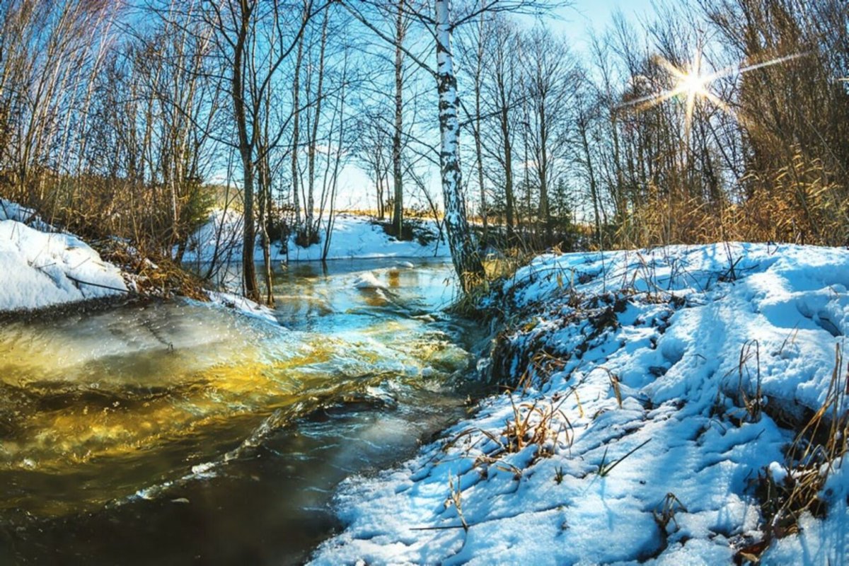 Природа Нижегородской области ранняя Весна