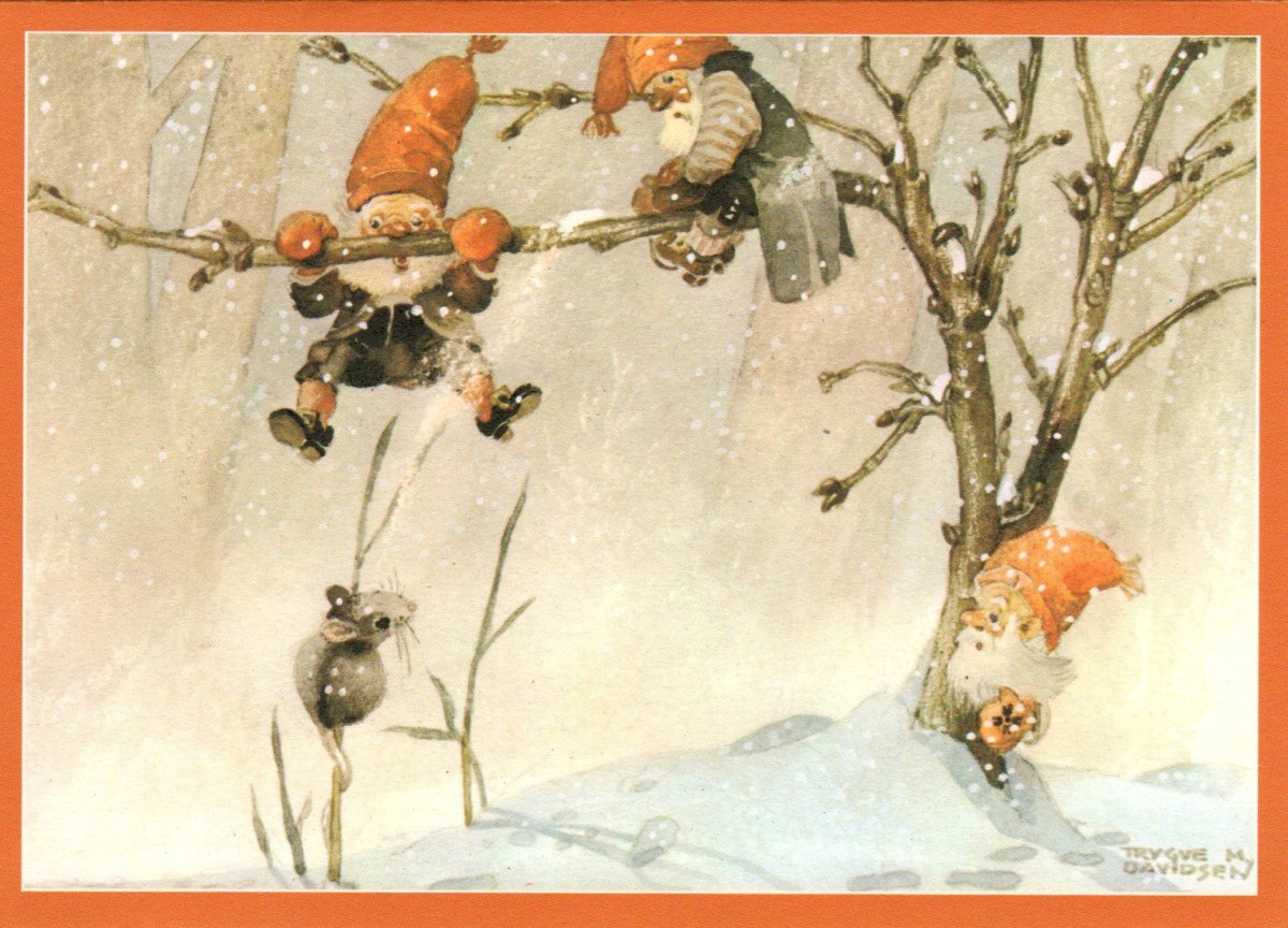 Зимние гномики