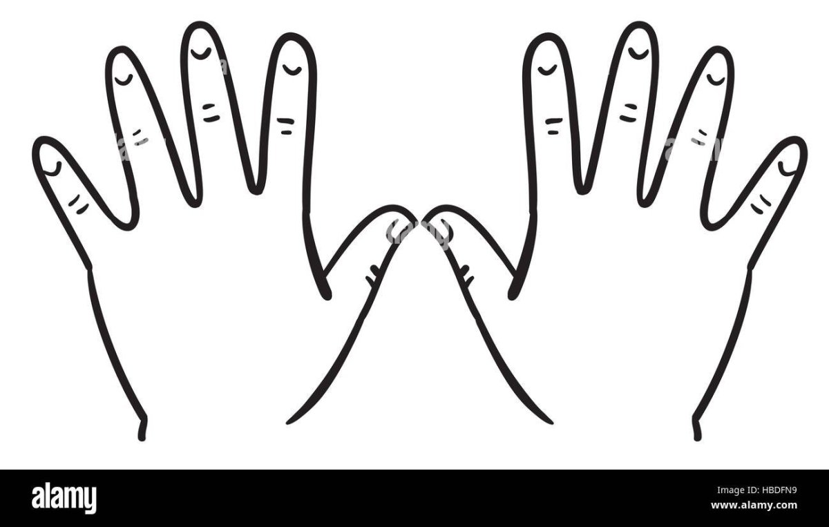 Ладонь линейная