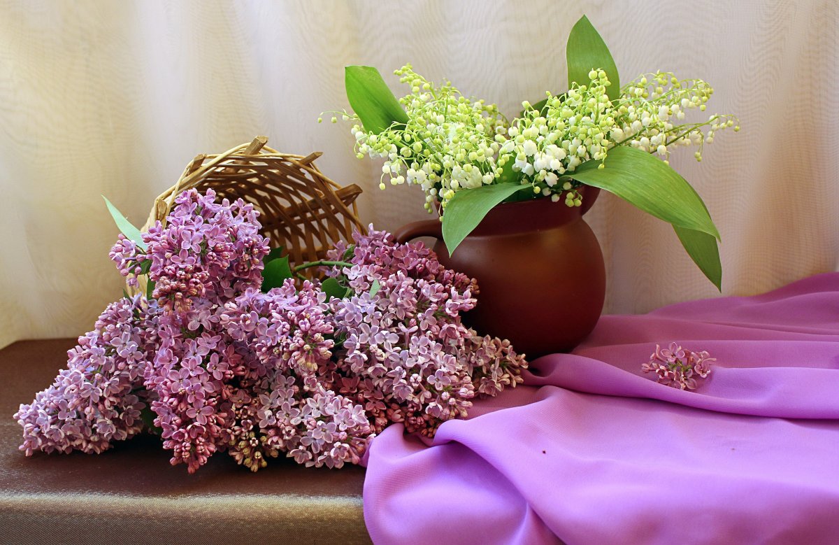 Ландыш сирень Жасмин