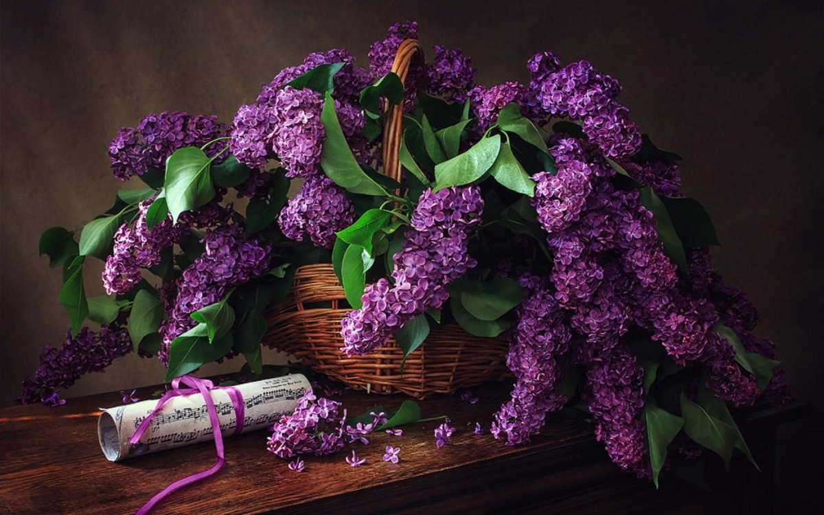 Фотонатюрморты с сиренью Сергея Алексеева