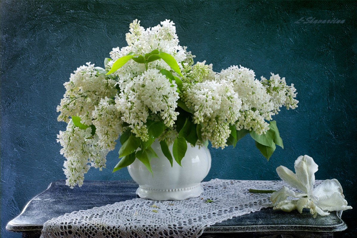 Букет "белая сирень"