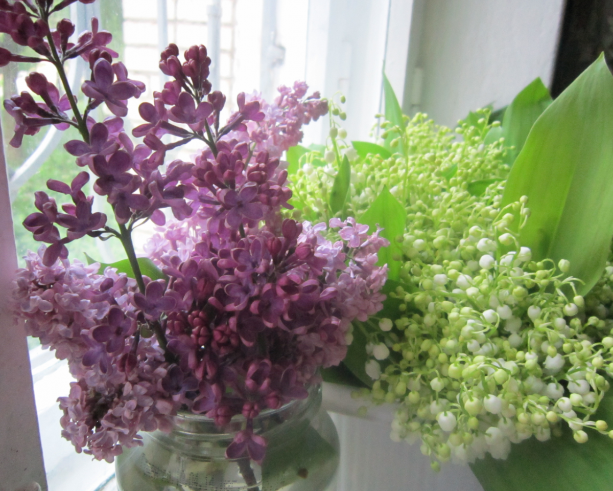 Сирень и Ландыши