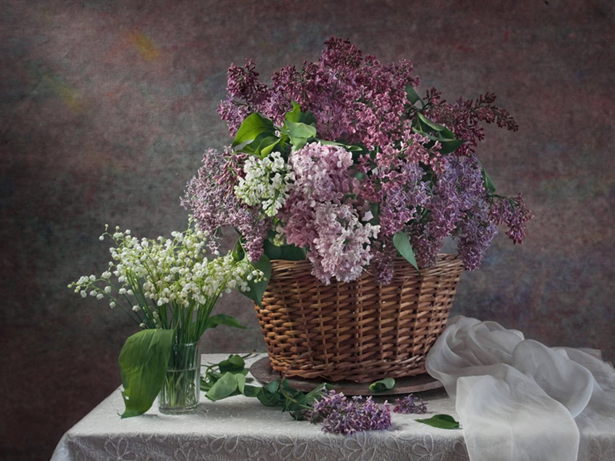 Эмма молвед натюрморт с сиренью