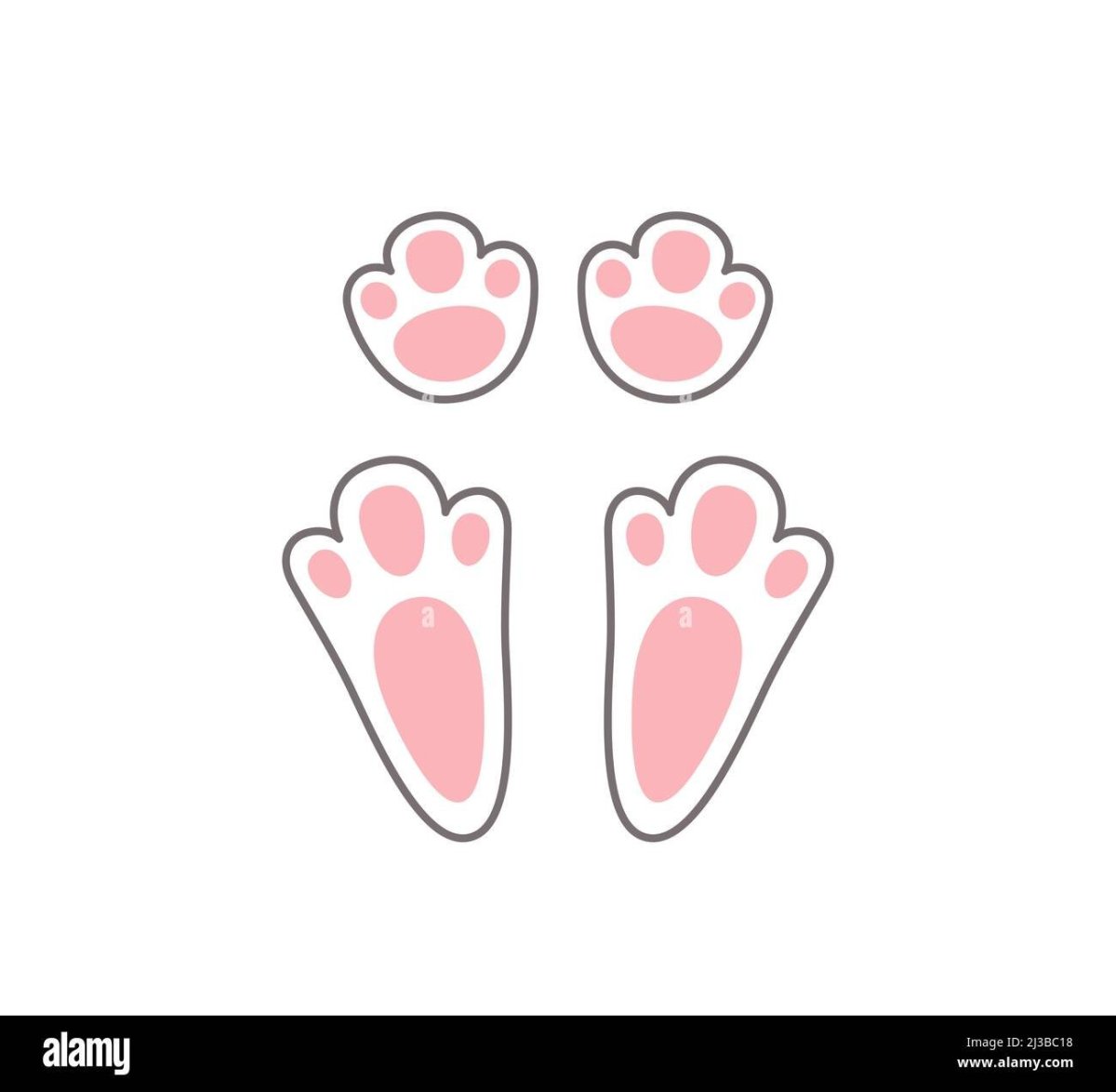 Лапка кролика след