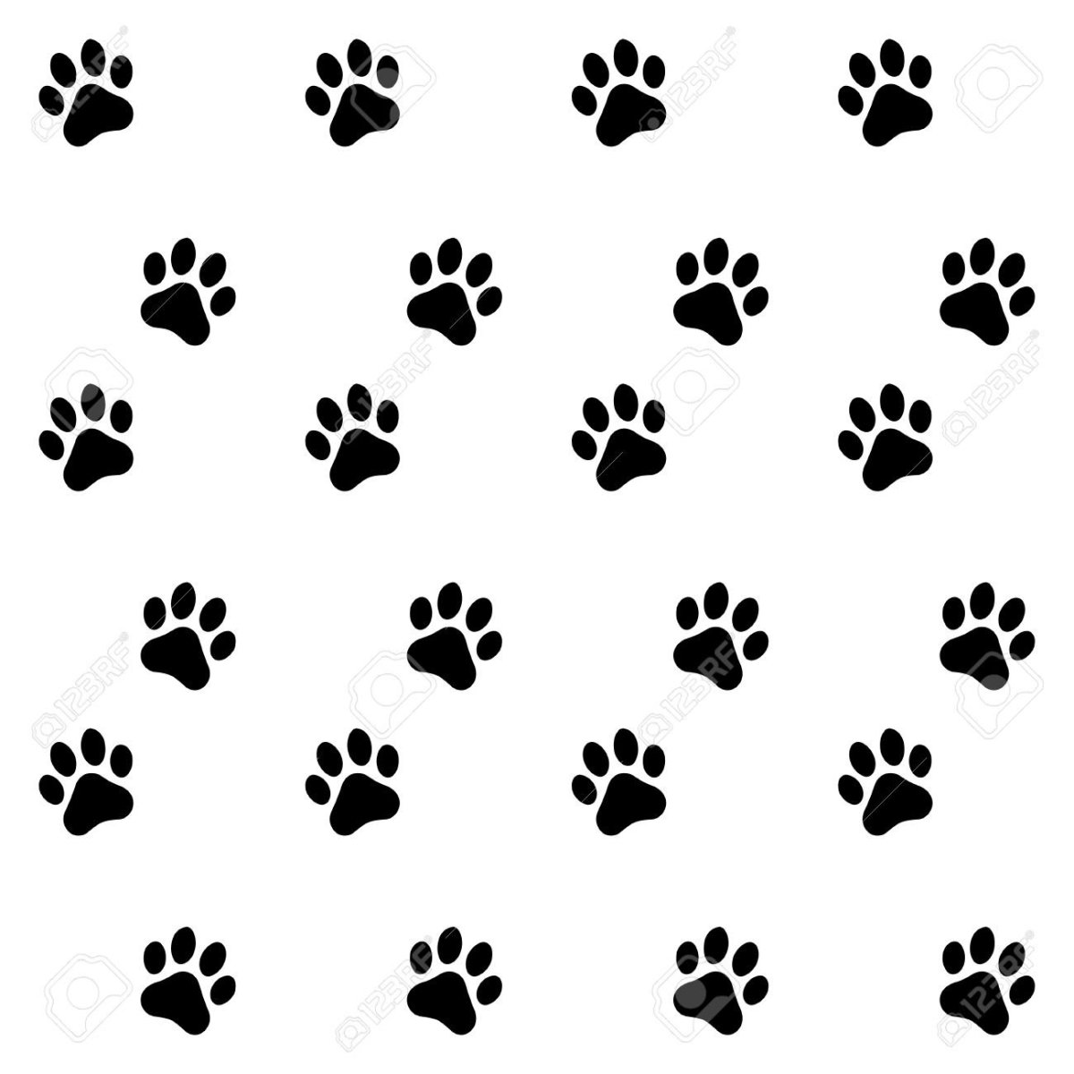 Отпечатки следов животных