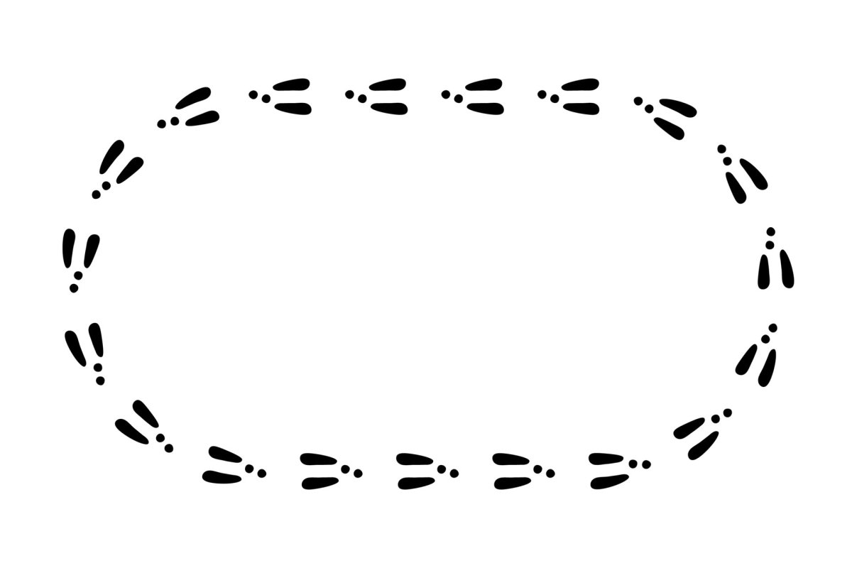 Следы животных картинки для детей