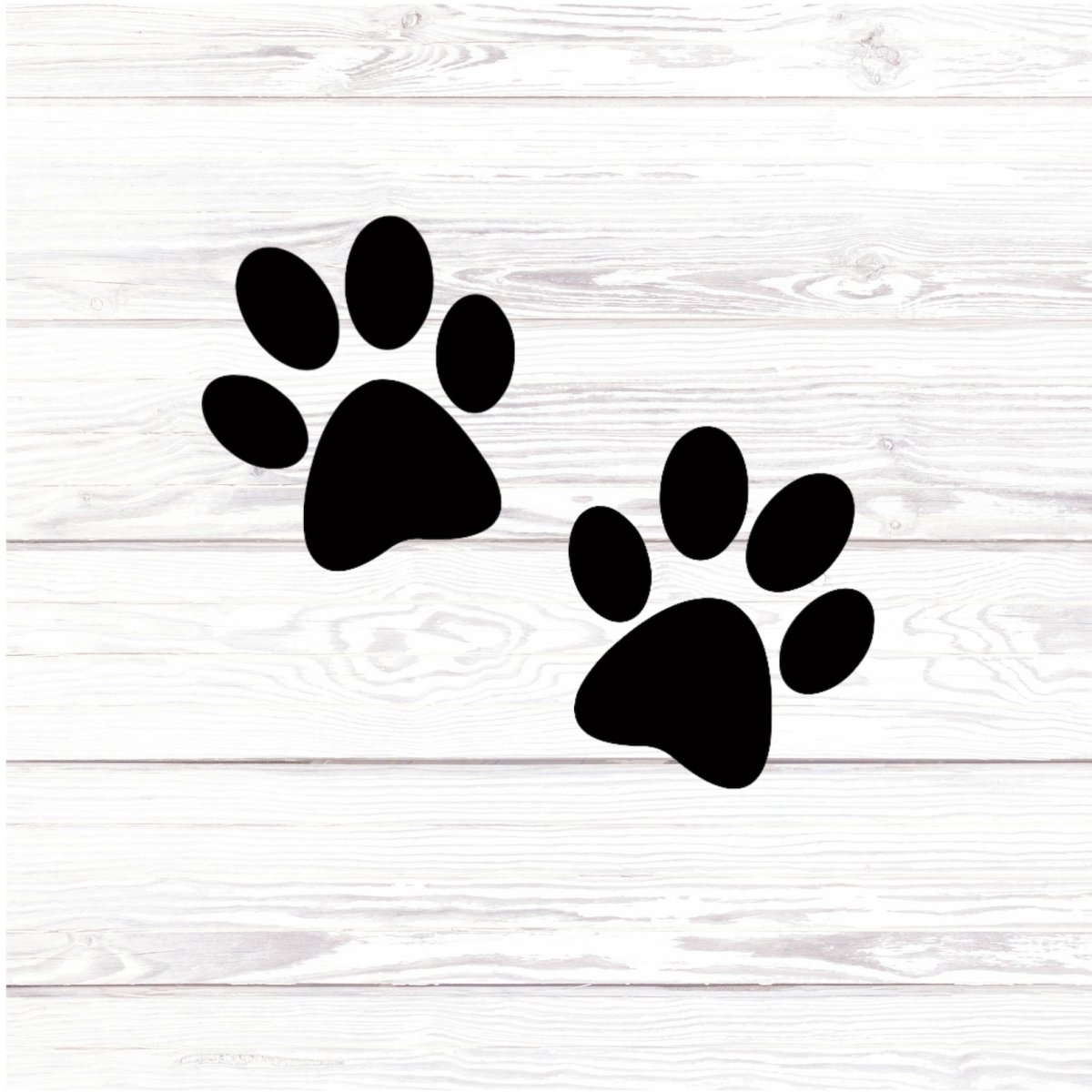 Следы животных дорожка