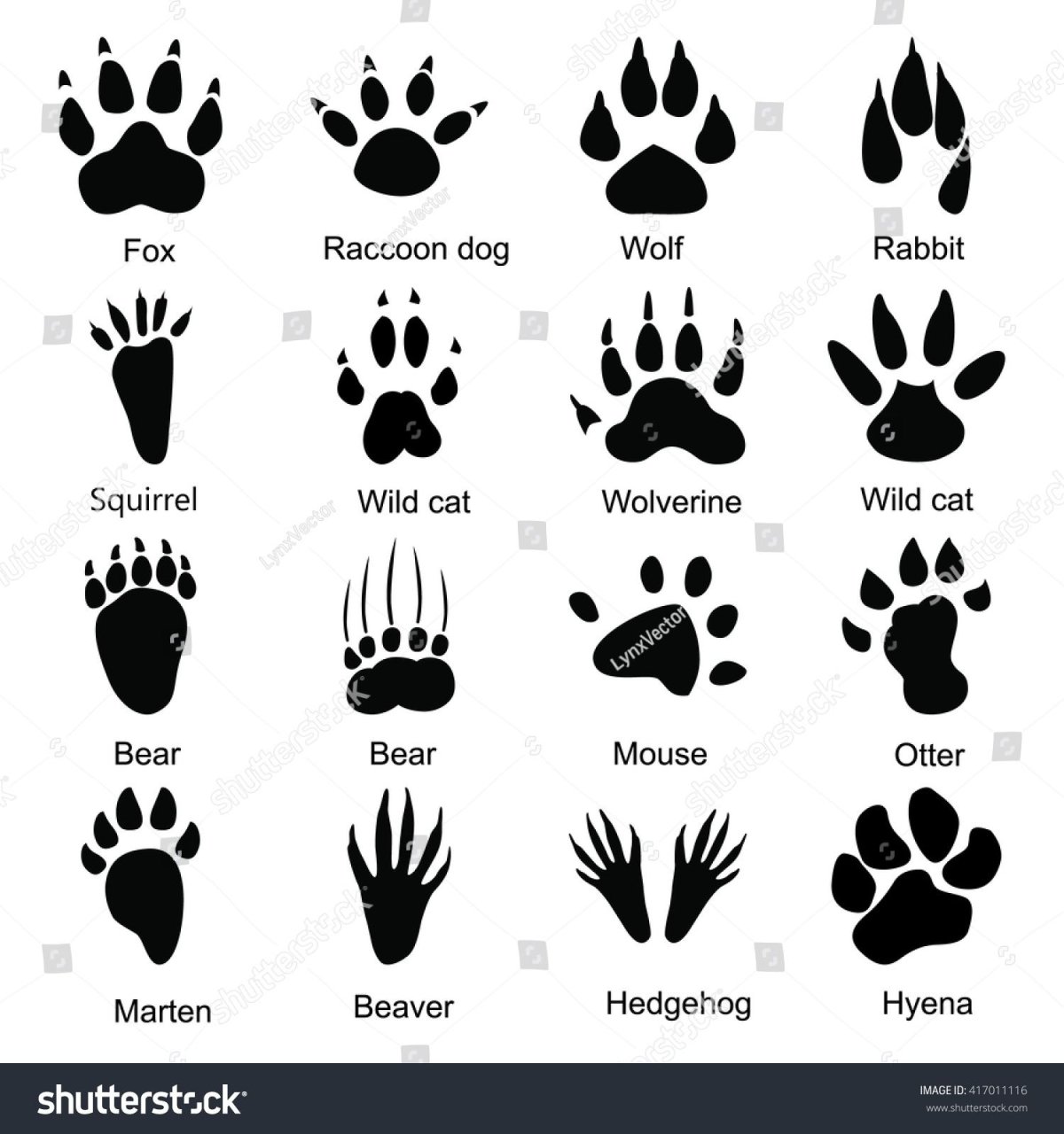 Лапки Отпечатки скетч