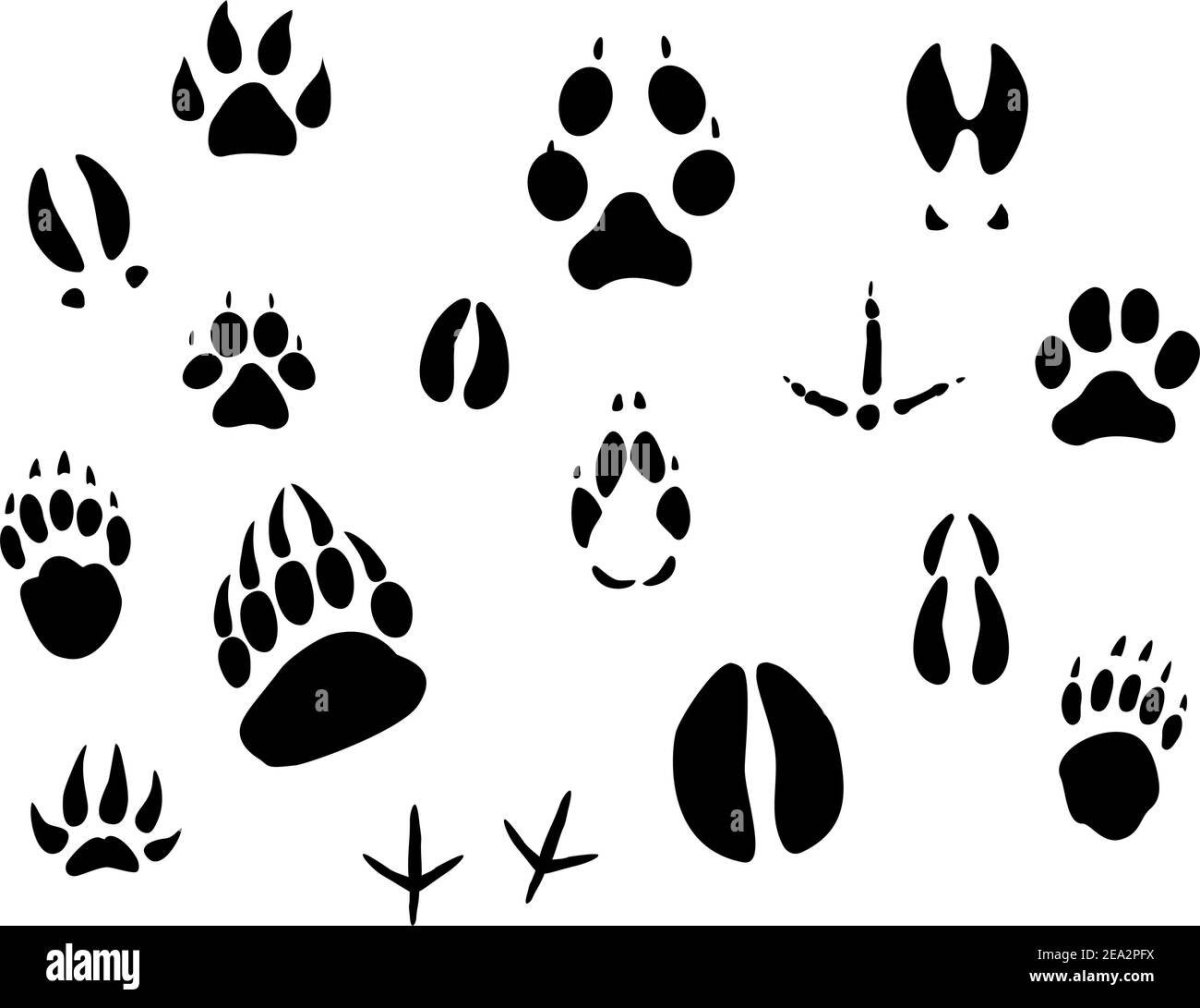 Паттерн следы животных