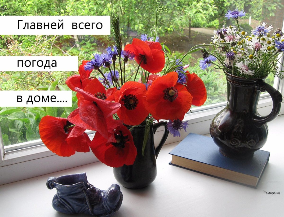 Хорошей погоды в Дуоме