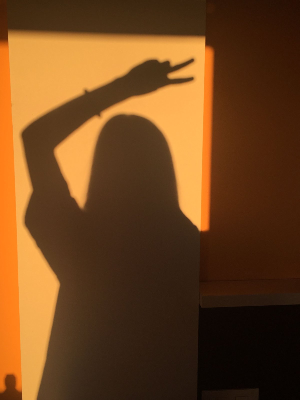 Тень человека на стене