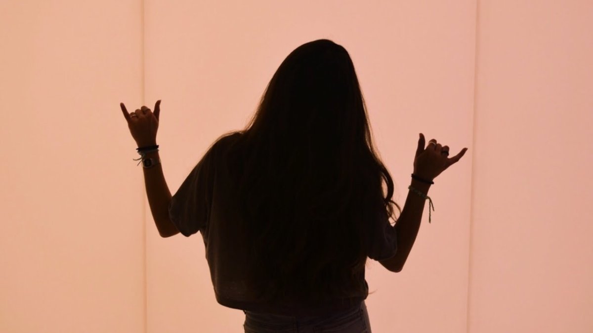 Тень двух подруг