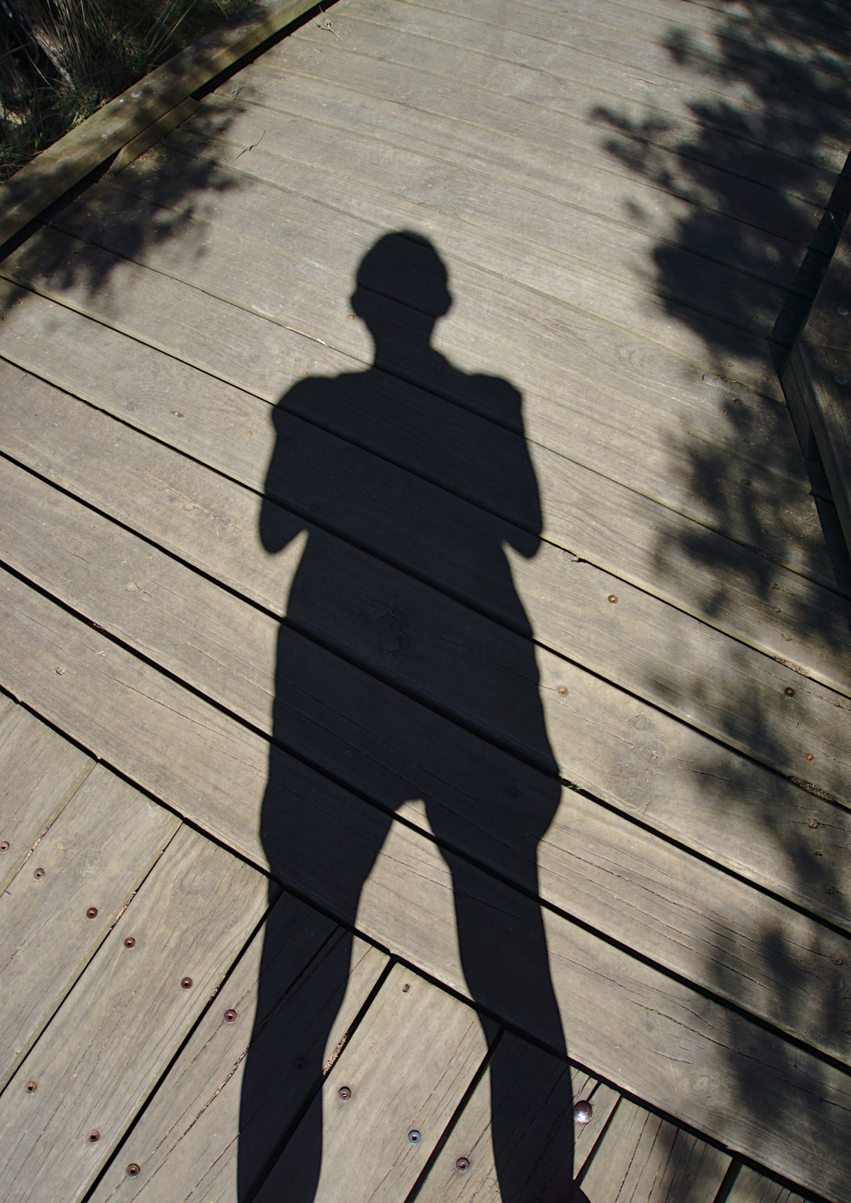 Девушка ангел Эстетика