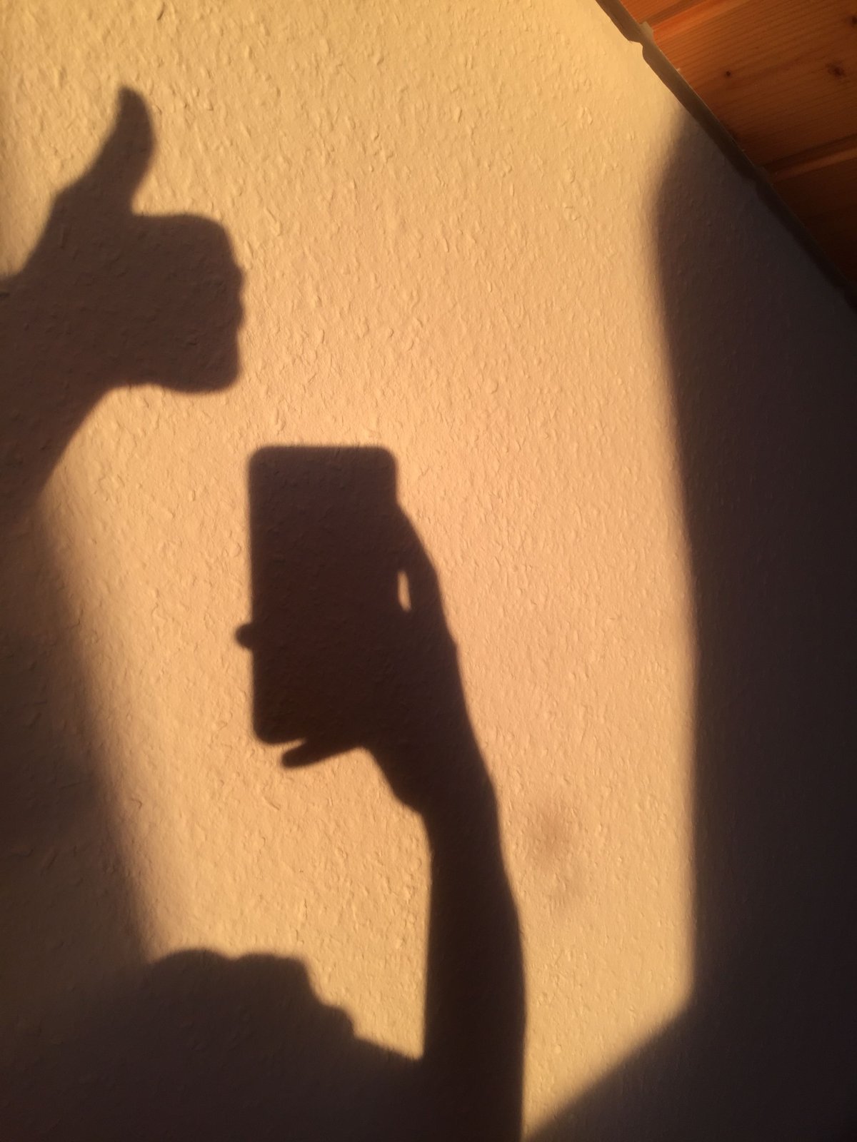 Эстетика,тень отношения