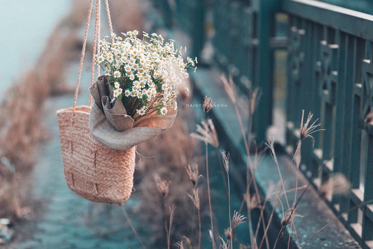 Цветы счастье в мелочах