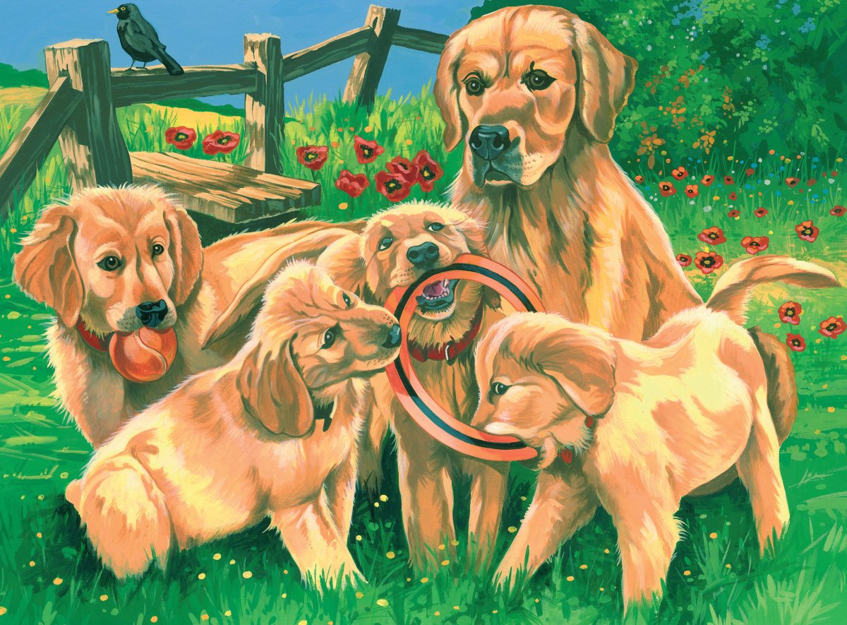 Щенки и собаки