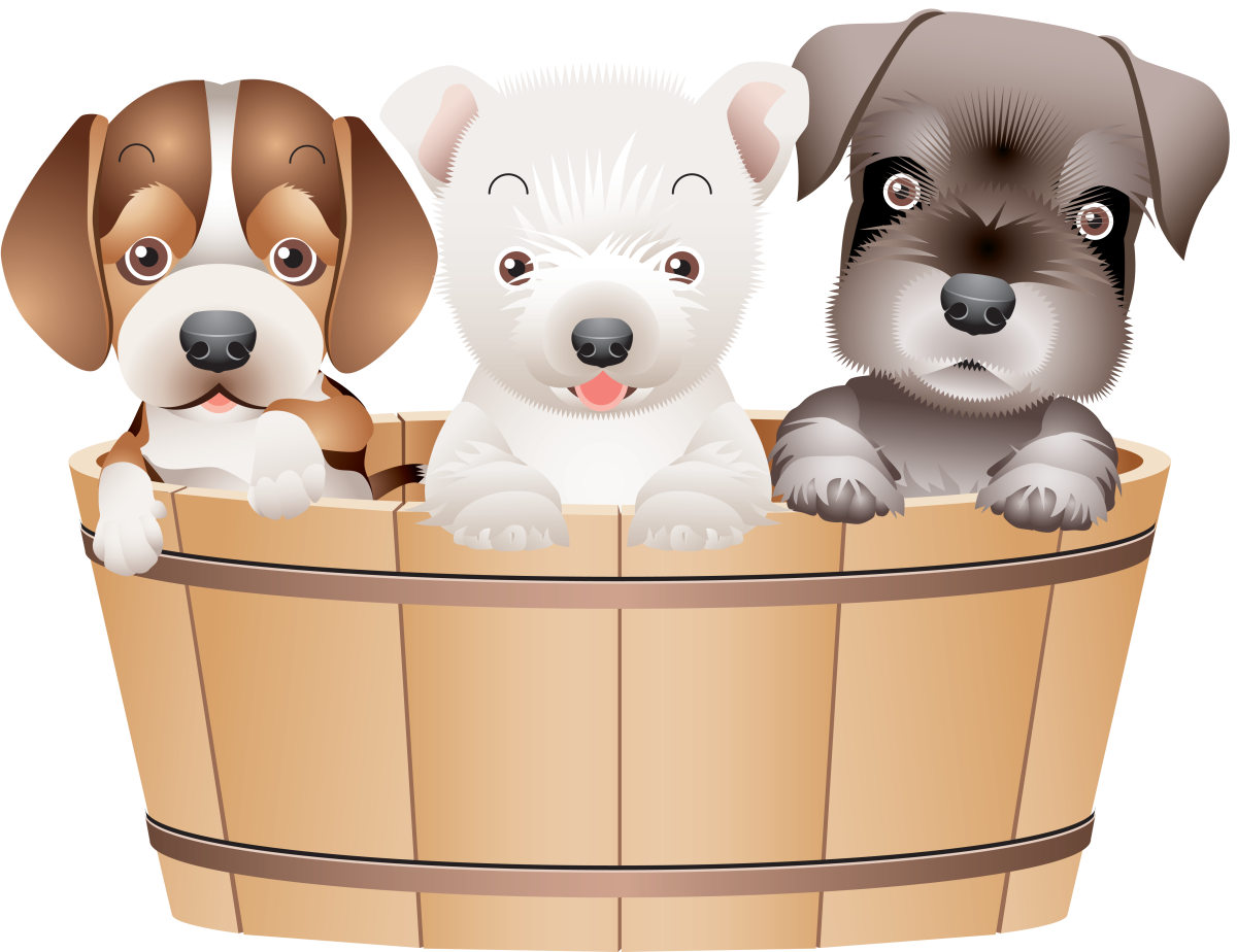 Американский художник Кевин Дэниел,собаки