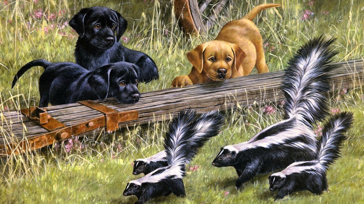 Собачка с корзинкой мультяшная