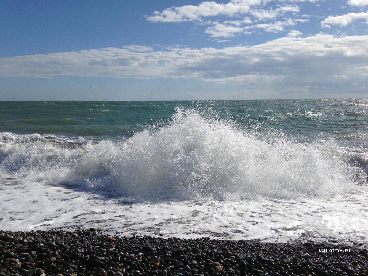 Море черное море Адлер