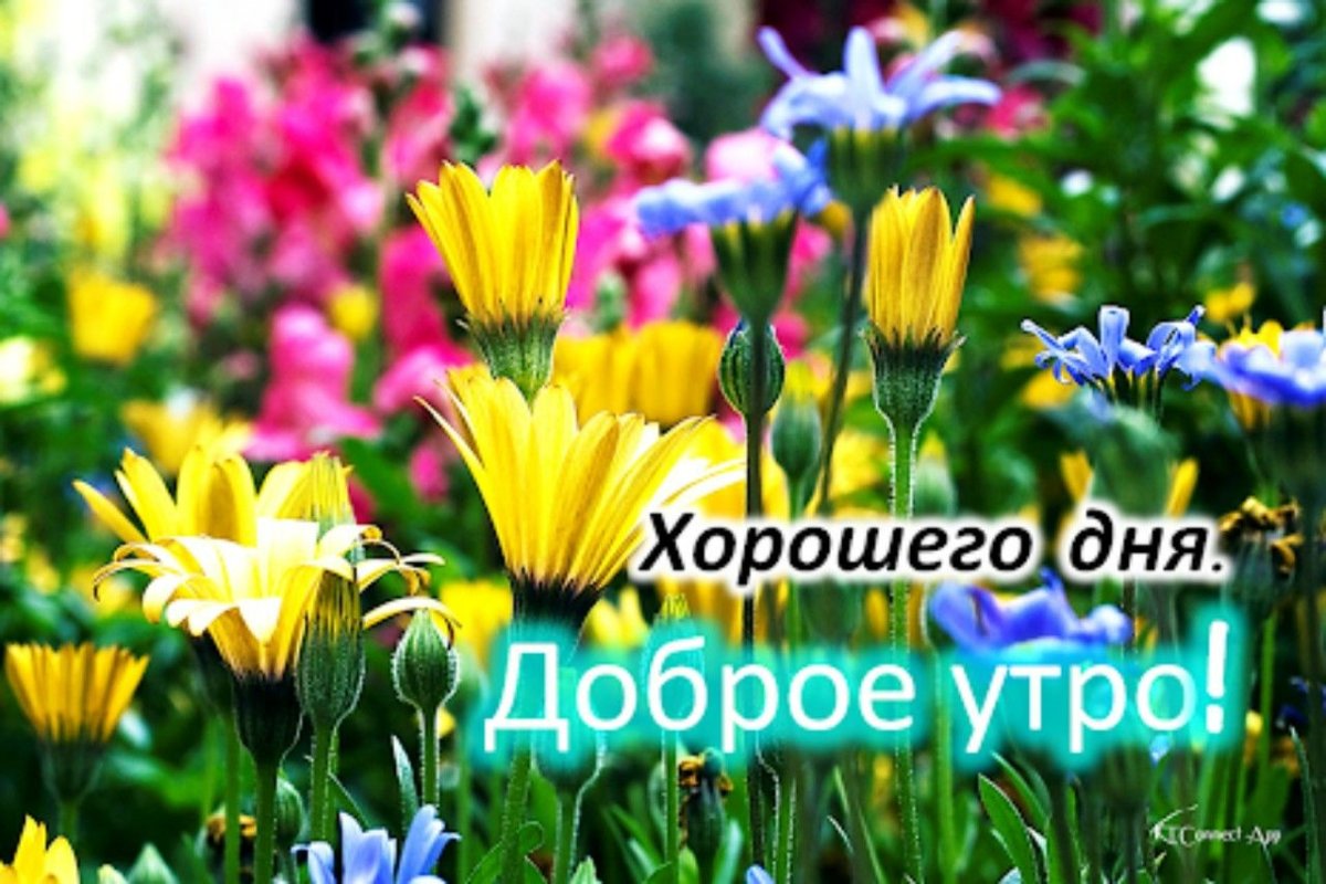 С добрым утром вторника