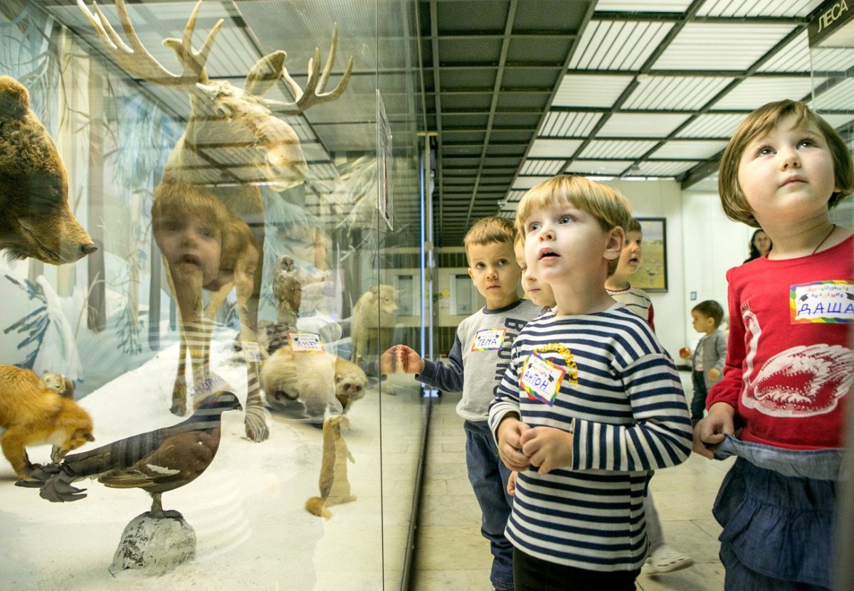 Дарвиновский музей дети