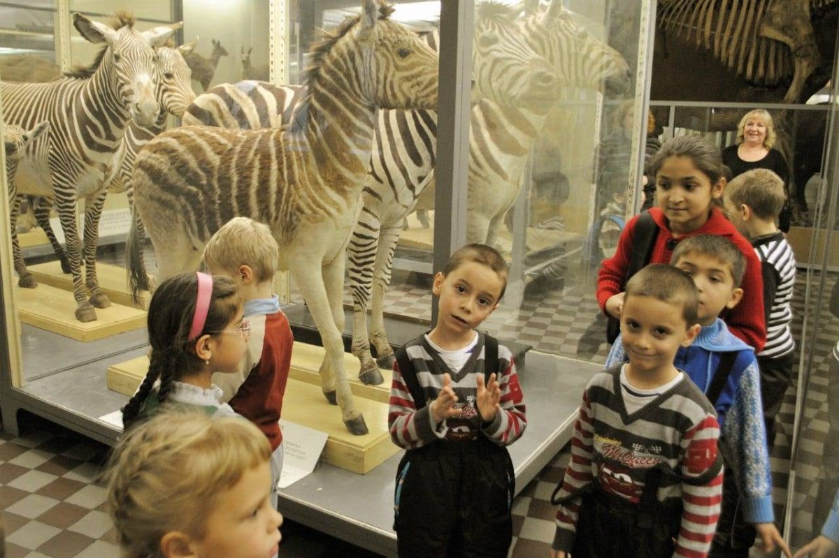 Детский музей в Санкт-Петербурге
