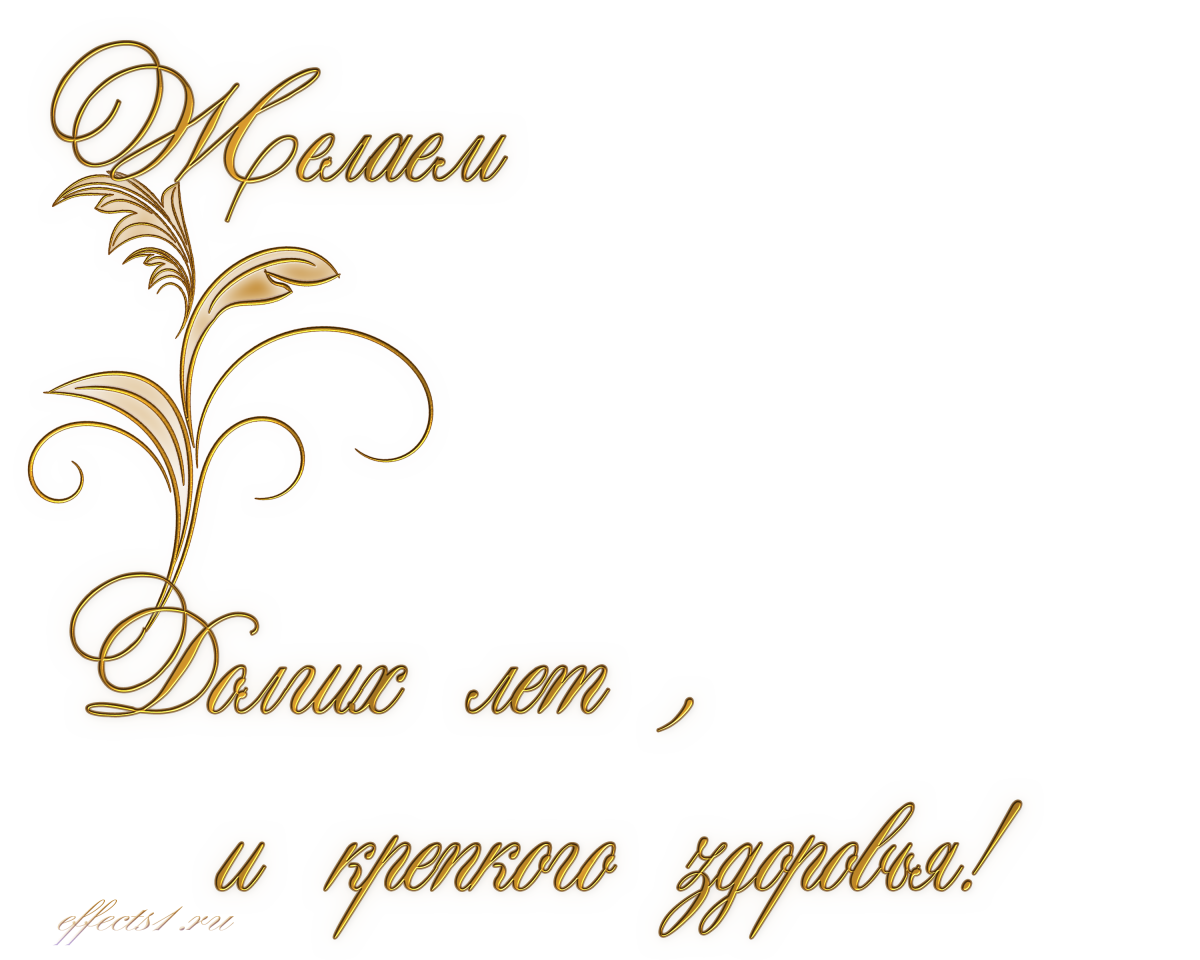 Шампанское и розы