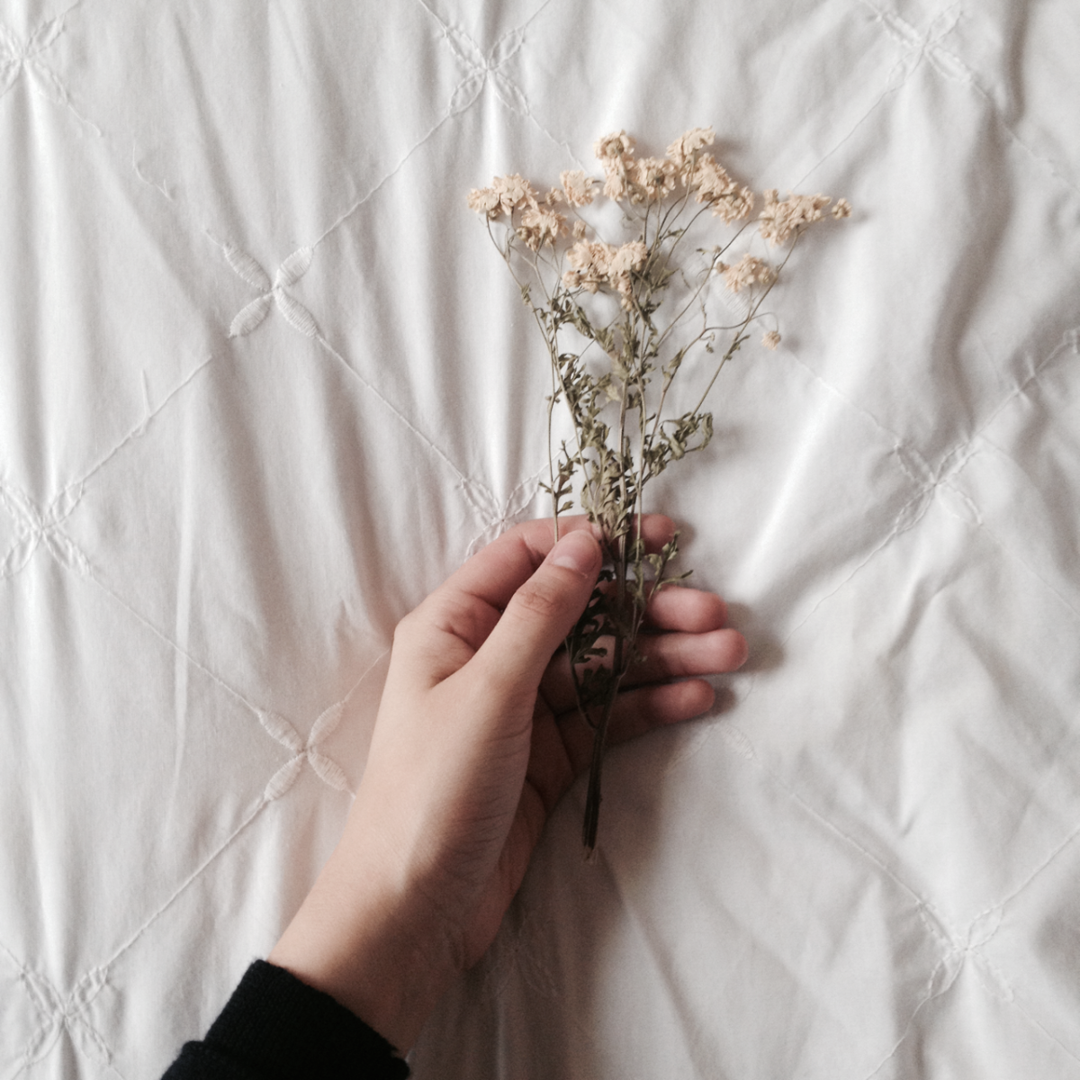 Настоящая Эстетика