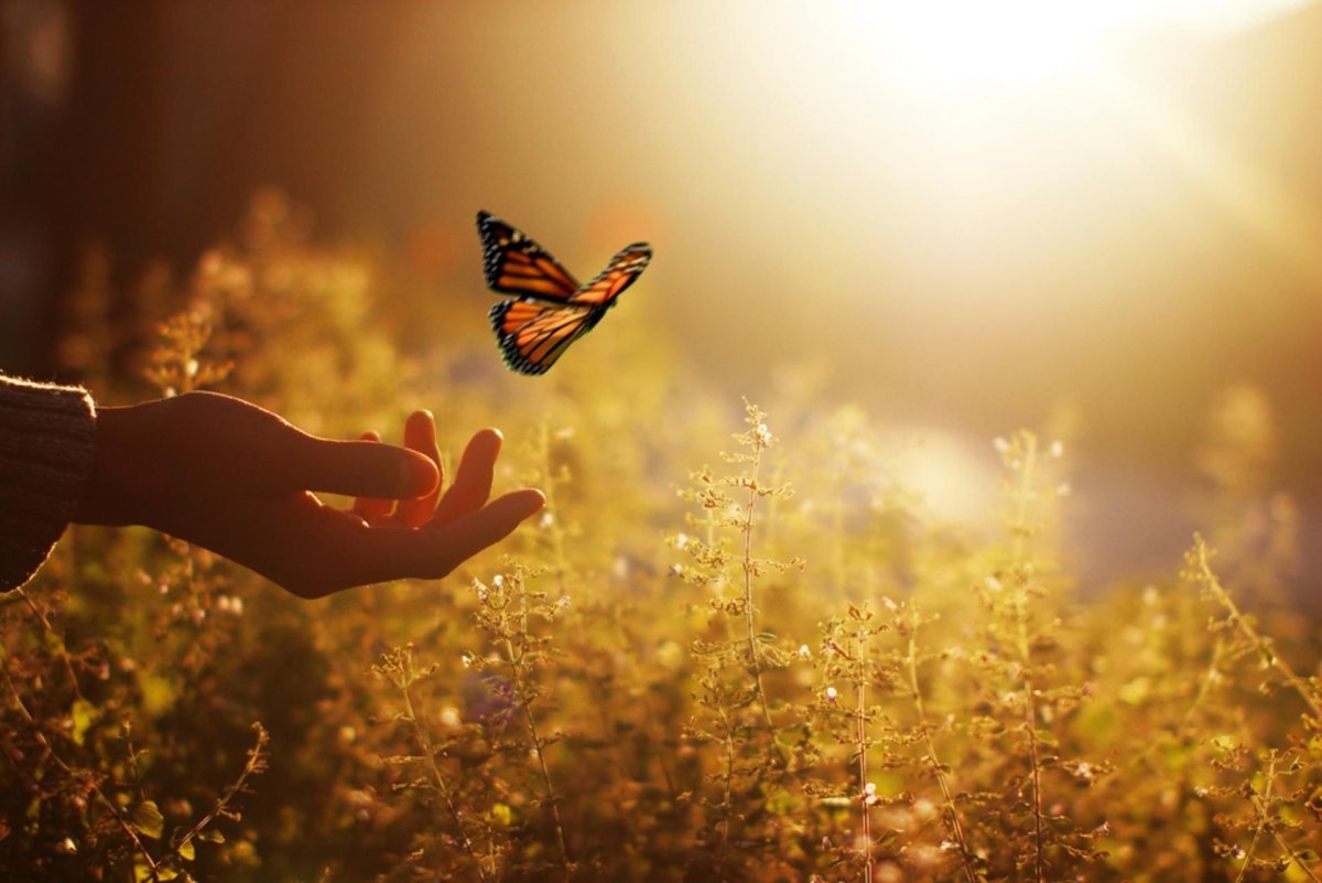 Посылаю тебе лучи тепла