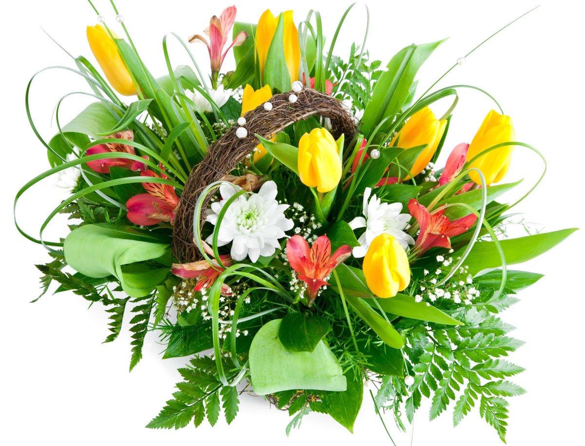 Красивая Цветочная композиция на белом фоне