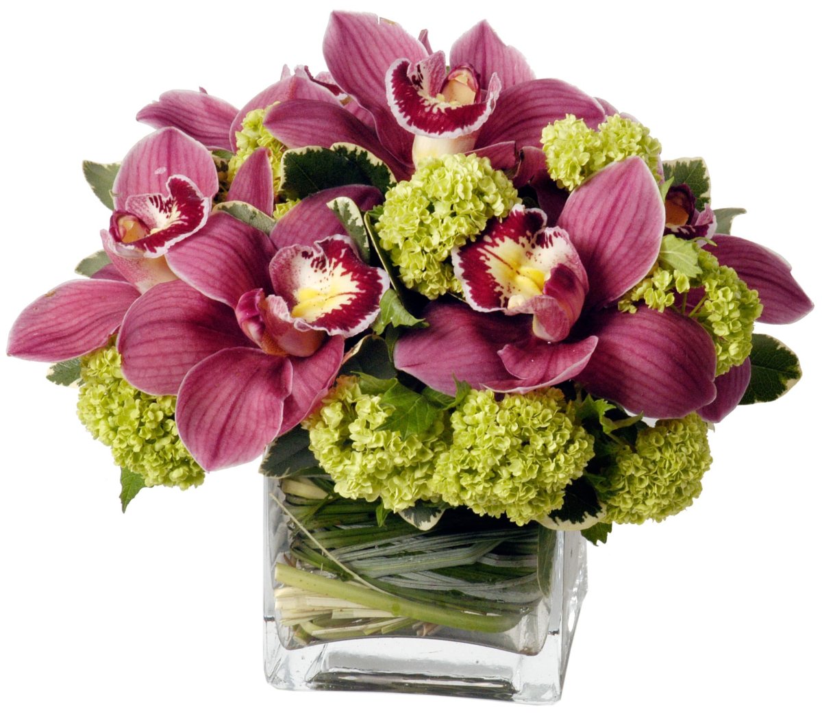 Цветы живые букеты