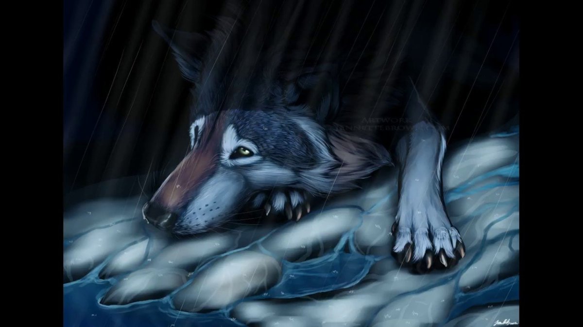 Волк плачет