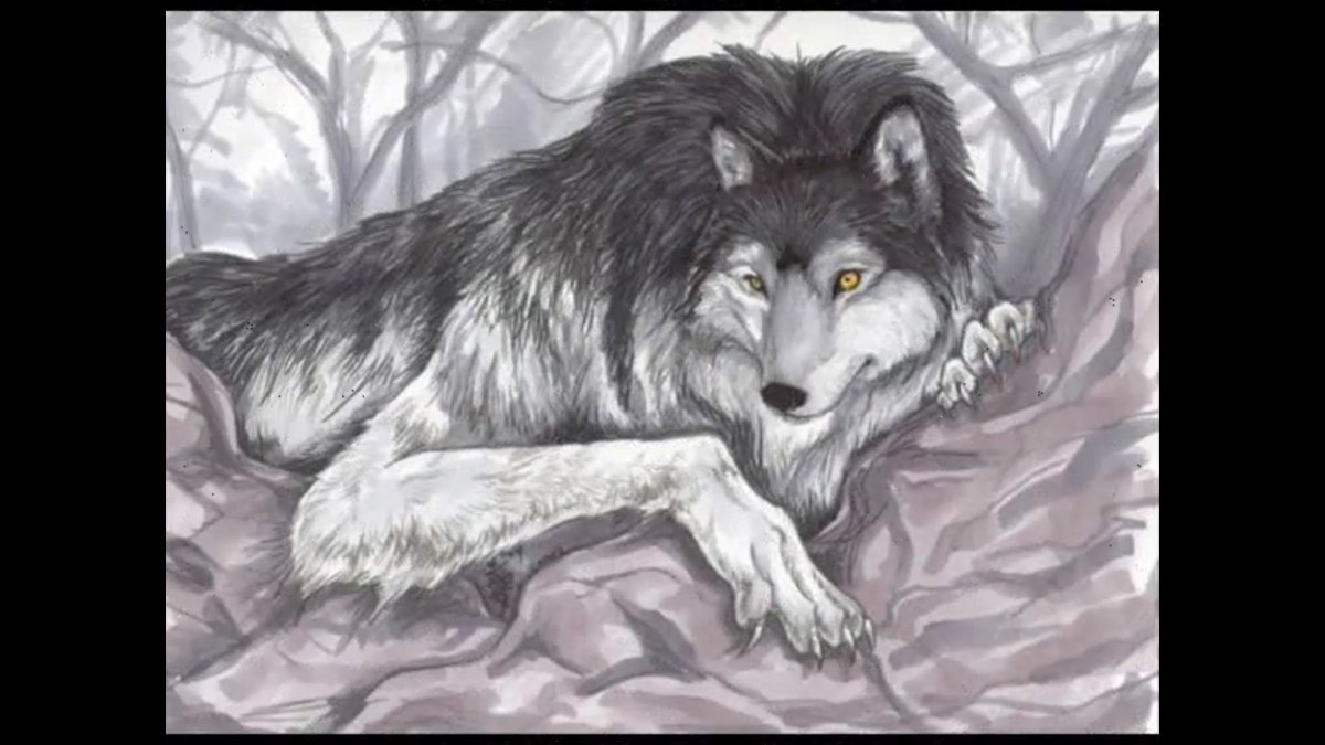 Одиночество волк