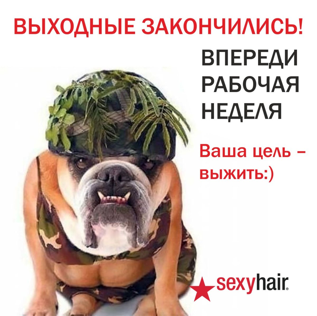 Я В этом шарю