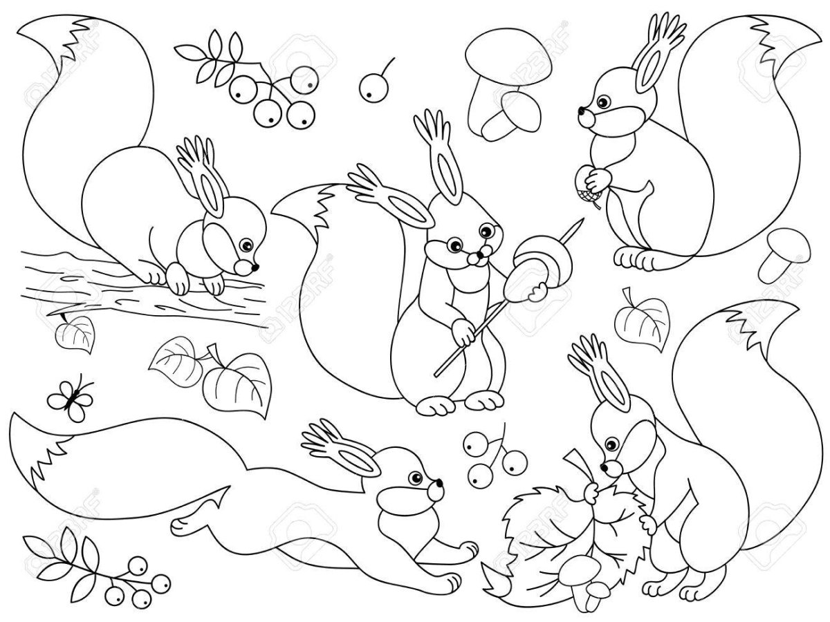 Трафарет белки для аппликации