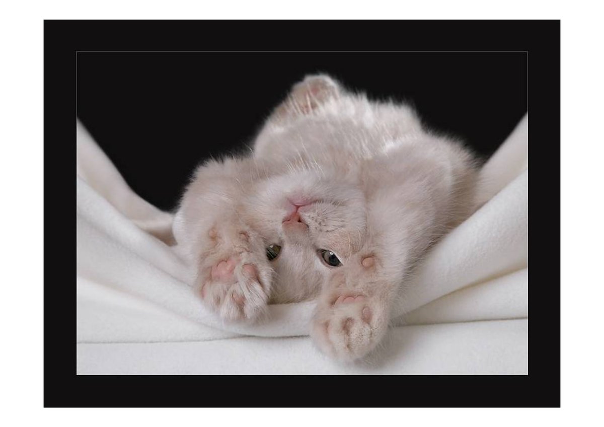 Доброе утро котенок мой