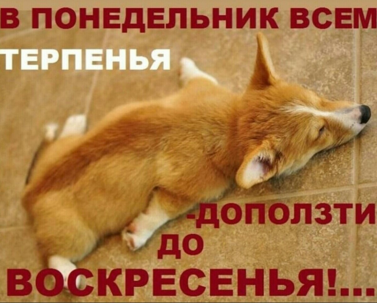 Понедельник день тяжелый