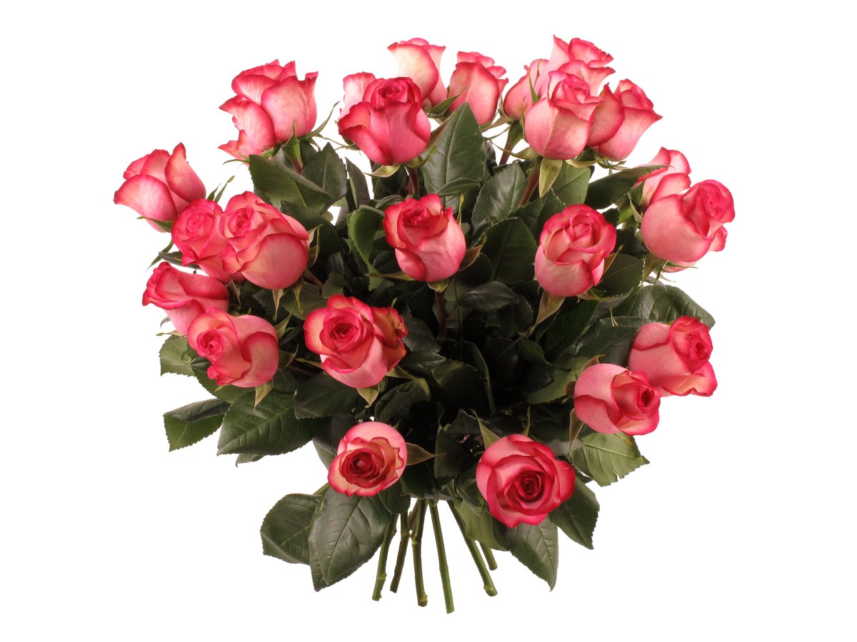 Букет цветов на прозрачном фоне