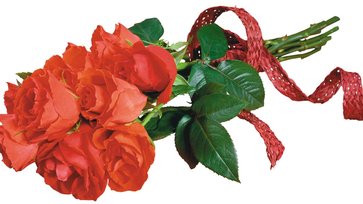 Клипарт букет роз на прозрачном фоне