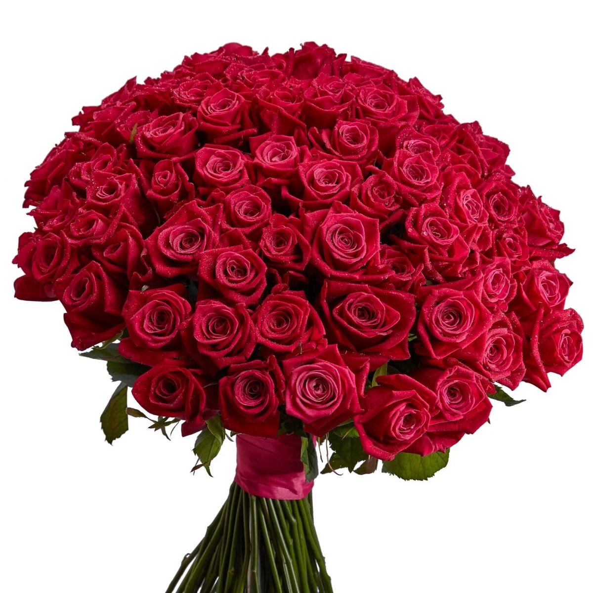 Розы 101 шт
