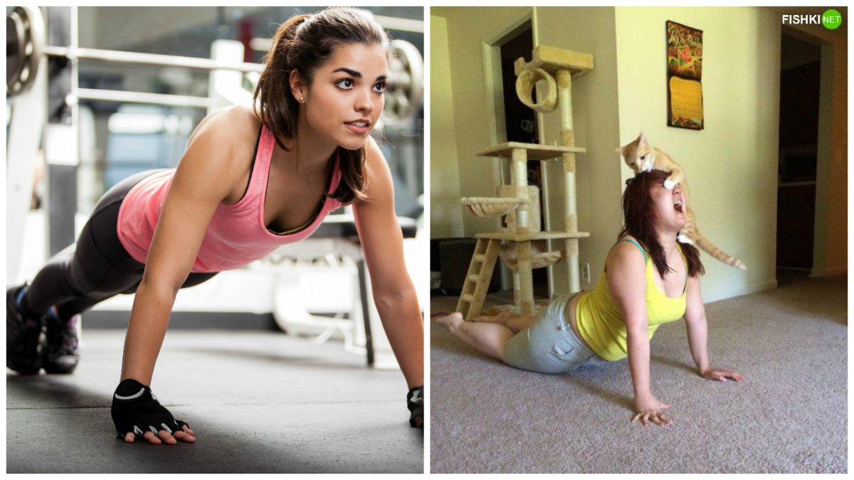 Занятия в тренажерном зале смешные