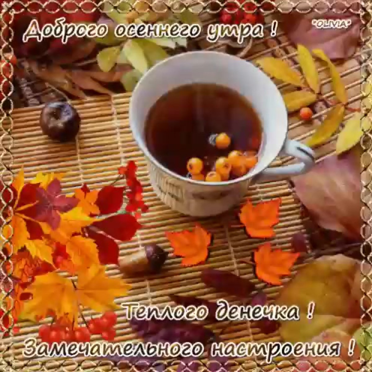 Доброго дня и прекрасного