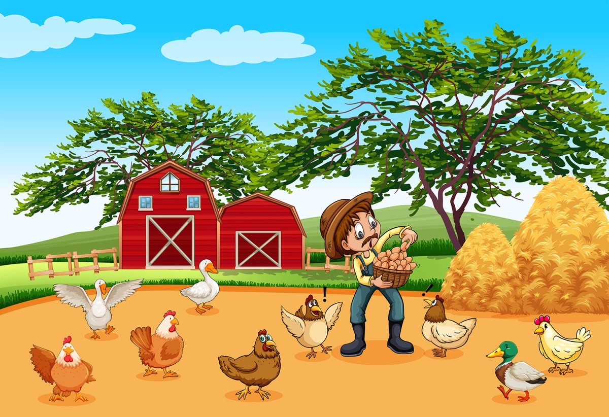 Курица ферма вектор