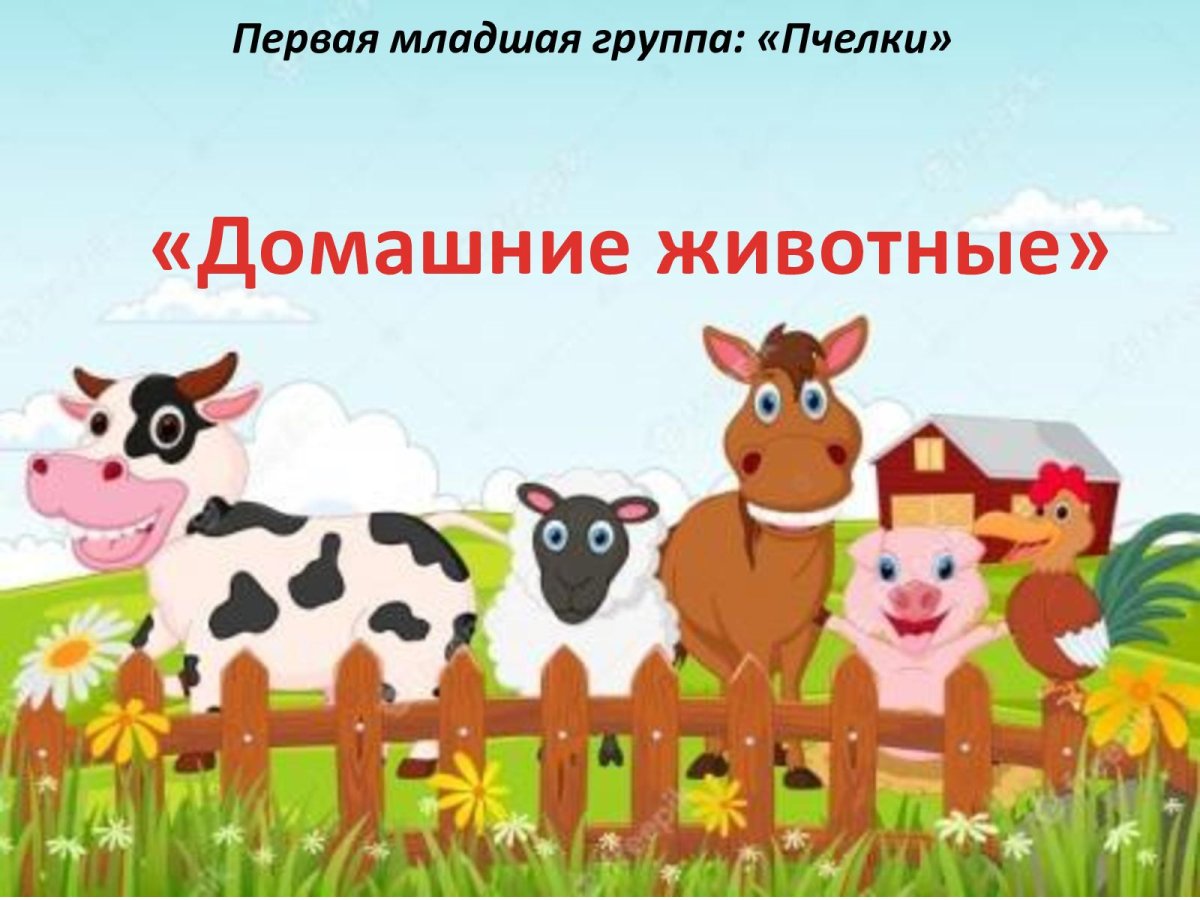 Фон с домашними животными для детей