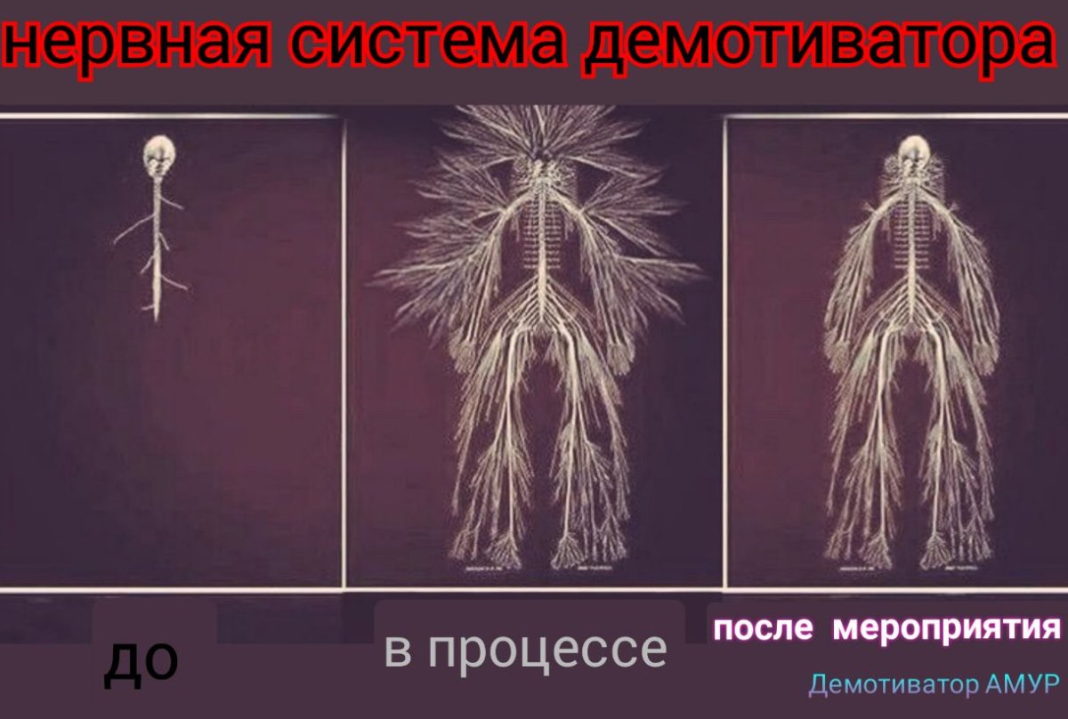 Стресс Лаванда прикол