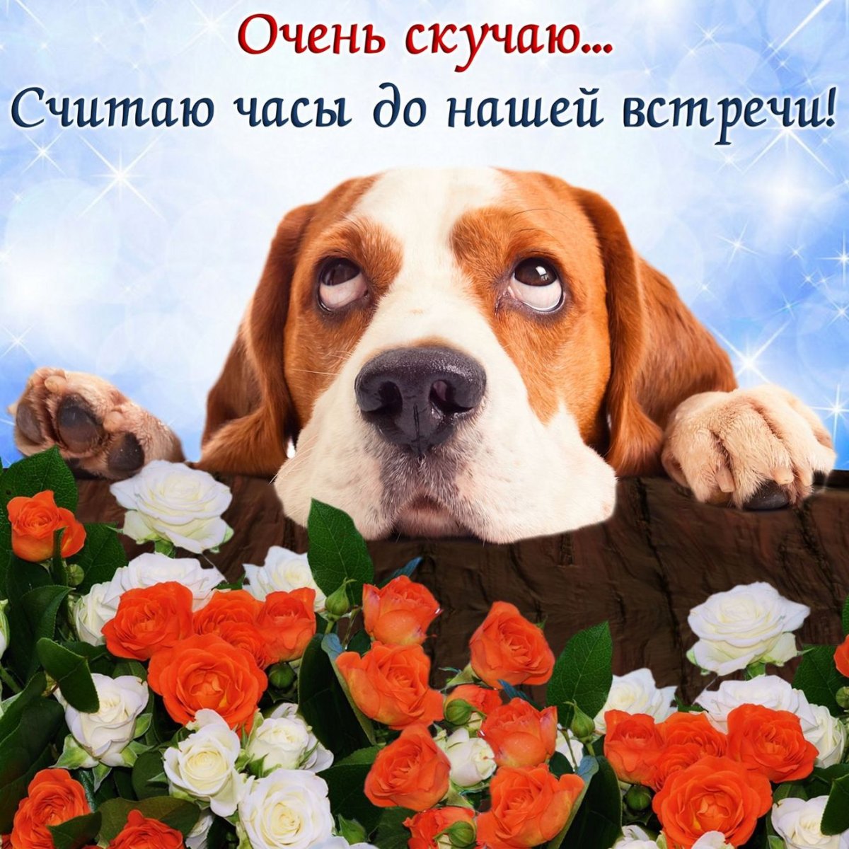 Открытки жду тебя