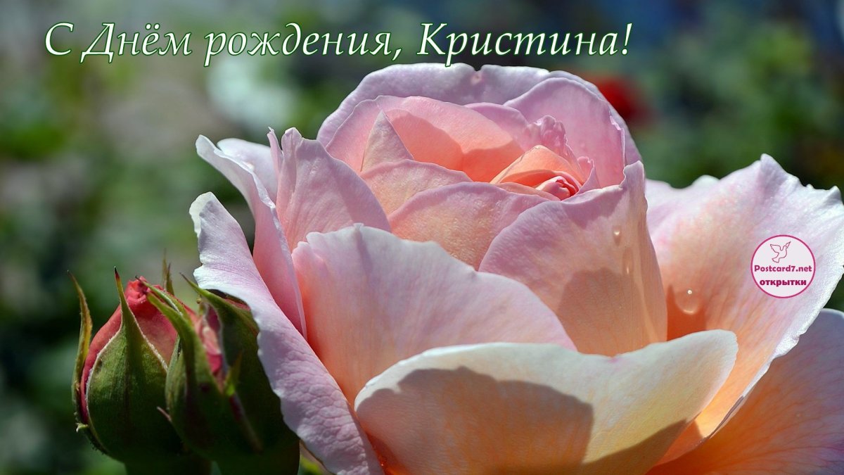 С днём рождения Кристинка